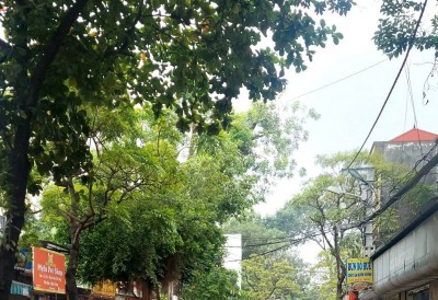 Cực Gấp! Mặt Phố Thụy Phương- Bắc Từ Liêm. Kinh Doanh Đỉnh. Mặt Tiền Rộng.